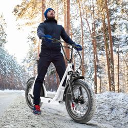 Electric Scooter with Seat 20x3 Fat Tire Ebike Brand New 