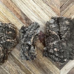 Wood Chunks For Air Plants 