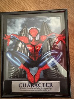 Spiderman frame