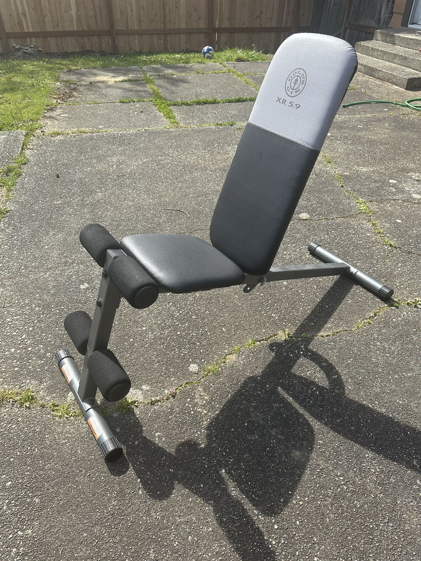 Workout Bench Exercise