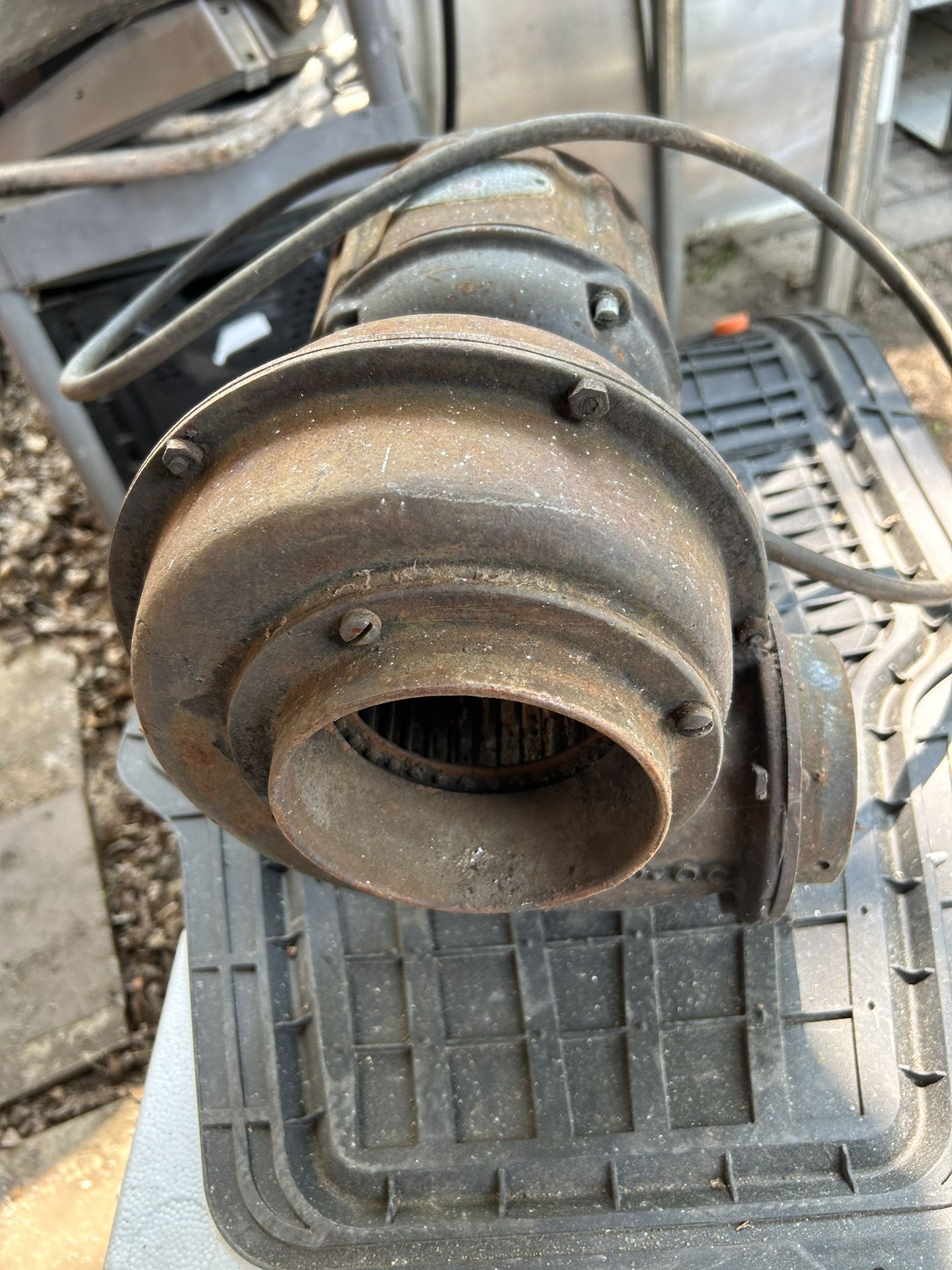 Motor