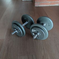 Dumbbell Weights 30 20 10 5 Pound 