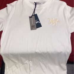 Dior T Shirt Size (Medium)