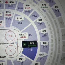 Kings vs Ducks for 10/4