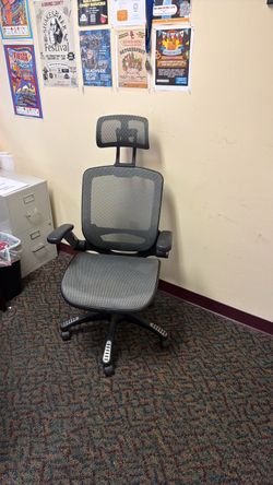 Ergonomic Mesh Office Chair w/ Headrest & Lumbar Support