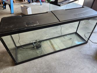 Lots Of Aquariums And Supplies