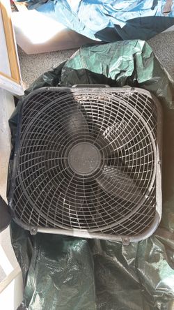 Fan