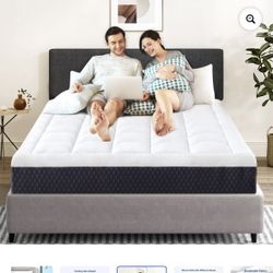 Dorm Room Mattresses! Twin XL  Dorm / Truckers!