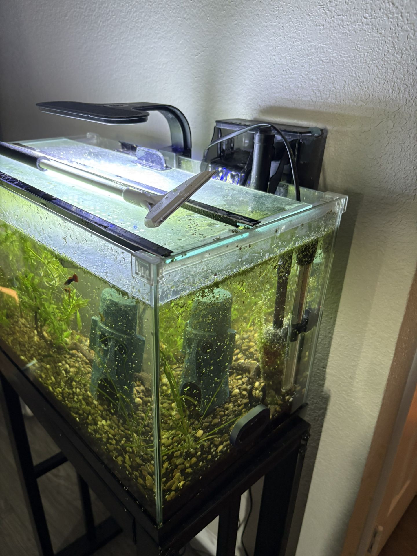 Fish tank With Everything You See