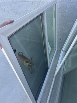 Window