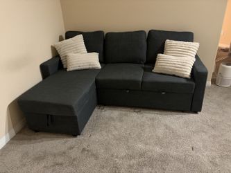 Sofa Bed/Sleeper Sofa w/Storage