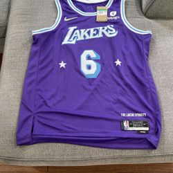 Los Angeles LAKERS LeBron James Original Jersey