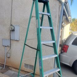 8' Warner ladder