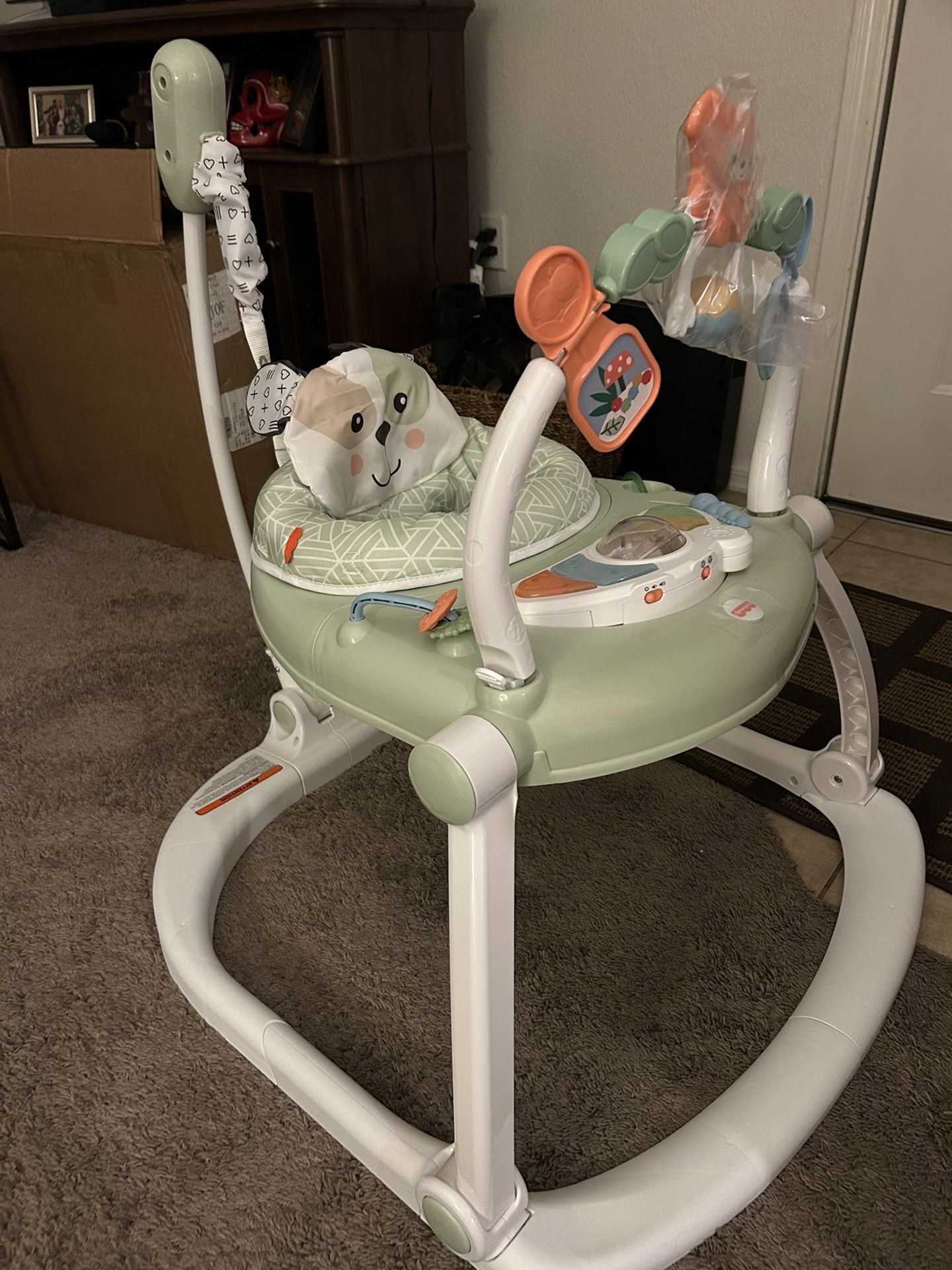 Fisher-Price Baby Bouncer