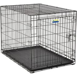 42 Inch Midwest Heavy Duty Dog Crate