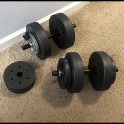 20 Pound Dumbbells 