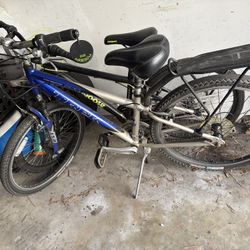 2 Bikes For The Price Of One . Buy One Get One For Free