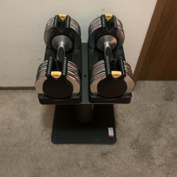 Golds Gym Adjustable Dumbbells + Dumbbell Stand