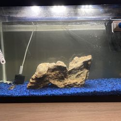 40 Gallon Fish Tank With Filter Rock And Heater