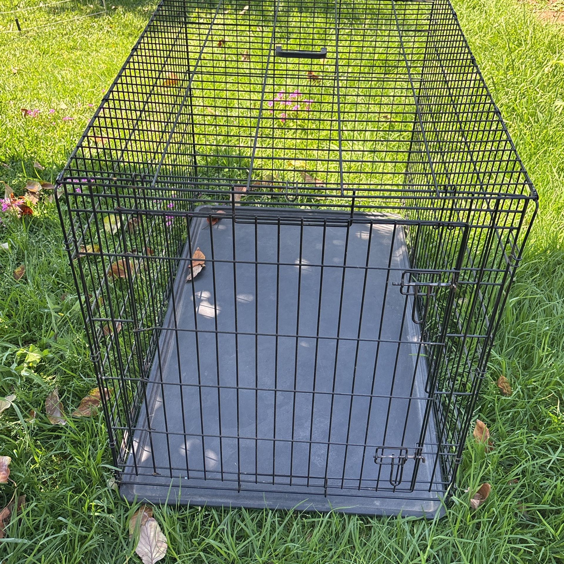Dog kennel