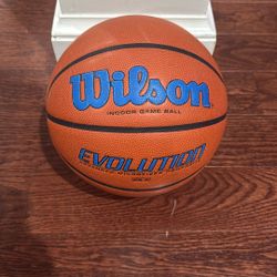 Wilson Evolution Basketball Size 6