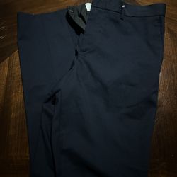 Dress pants