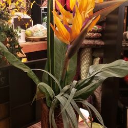Large Floral Arrangement 