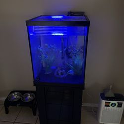 40 gallon tall fish tank from Dallas North Aquarium