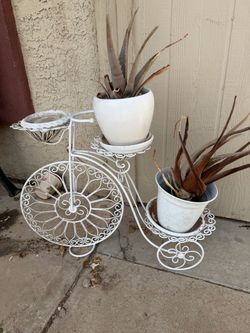 Bicycle plant holder