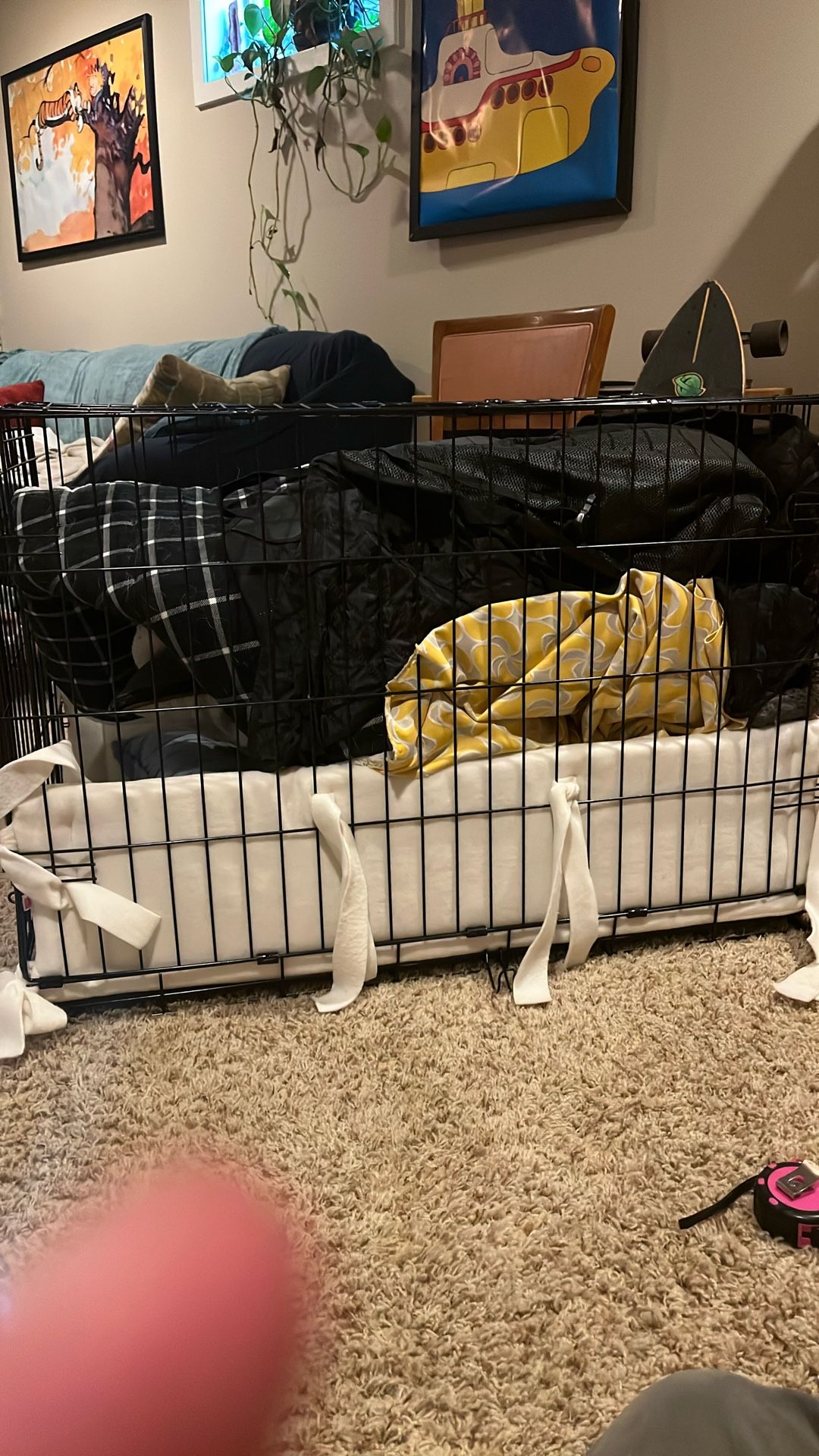 2ft By 3ft Dog Crate