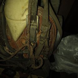 Leather Horse Sandal