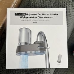 Sink Water Filter