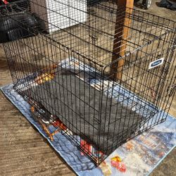 Cages All Size Small To Xl 