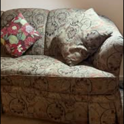 Vintage floral couch