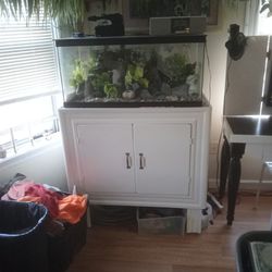75 Or 90 Gallon Fish Tank With Cabinet Homemade Cabinet With Everything You Need For A Fish Tank