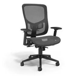 Ergonomic Mesh Swivel Task Chair