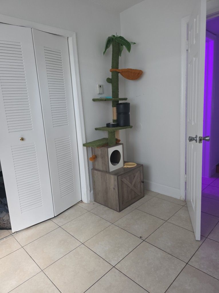 Cat Trees And Litlle Box