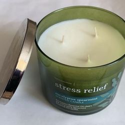Eucalyptus Spearmint Scented Aromatherapy Stress Relief Candle