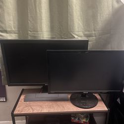 Asus and BenQ Monitors