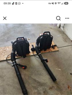 Leaf blower