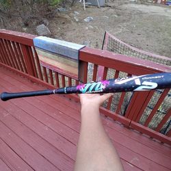 Cat X 2. Baseball Bat