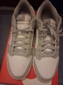 Mens Nike Dunks Low Retro