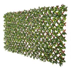 Large Expandable Willow Trellis 