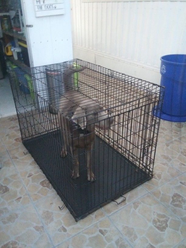 XL Dog Kennel