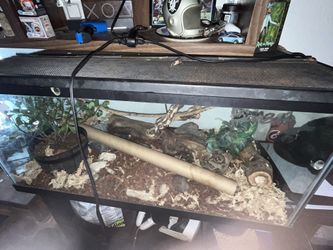 Tank