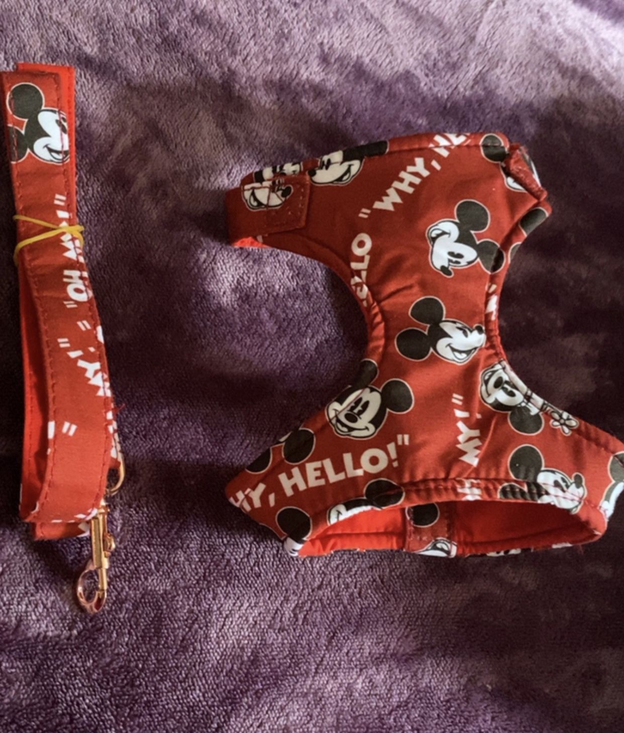 Disney Mickey Mouse Pet harness Size Small And Matching Leash