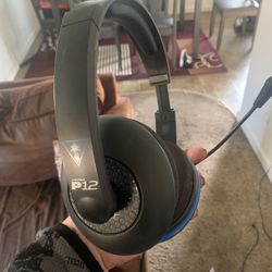 Turtle Beach P12 