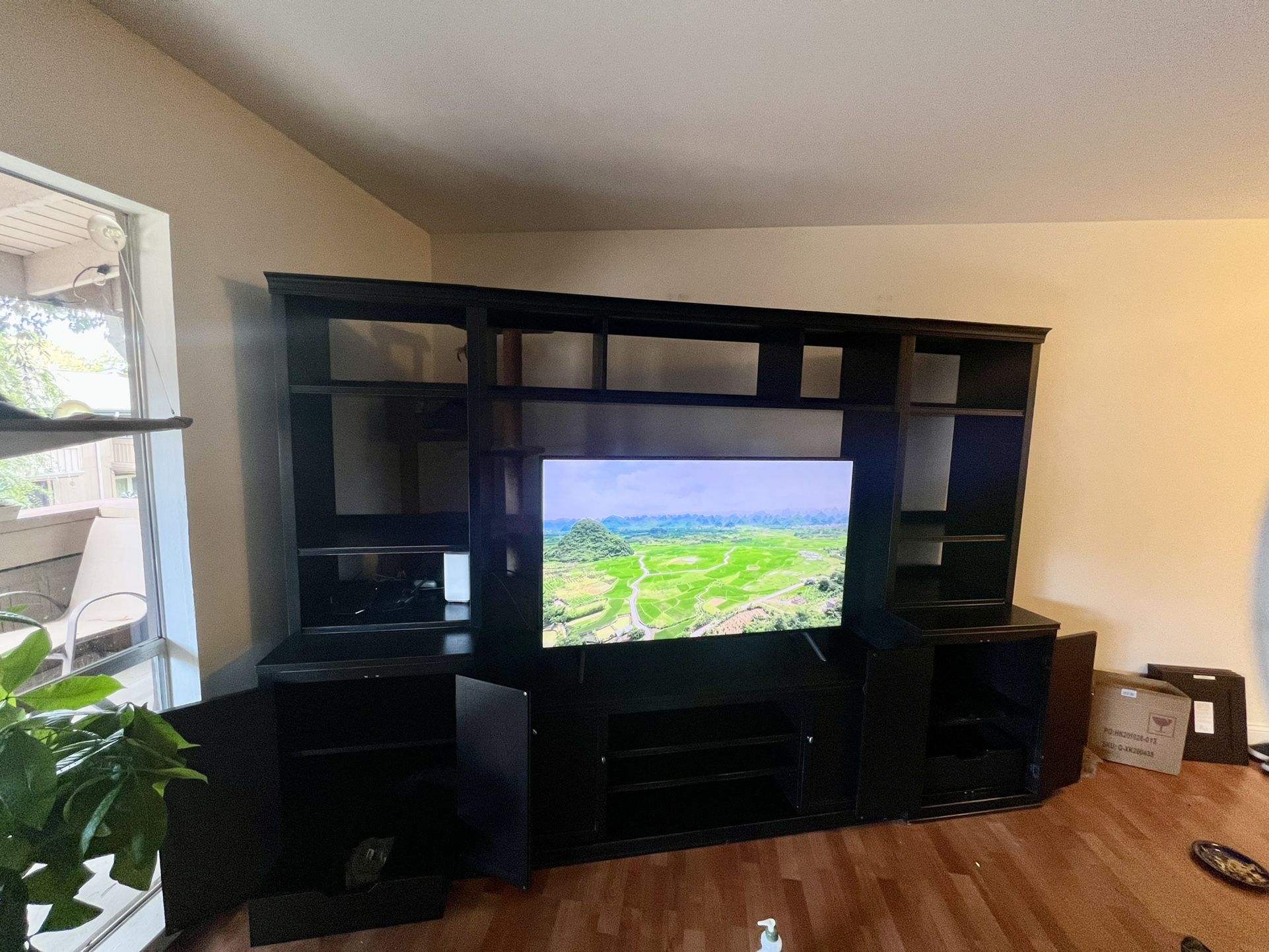 Entertainment Console 