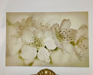 Floral Print