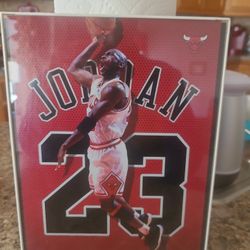 MICHAEL JORDAN 9X12 FRAMED PHOTO AIR JORDAN 